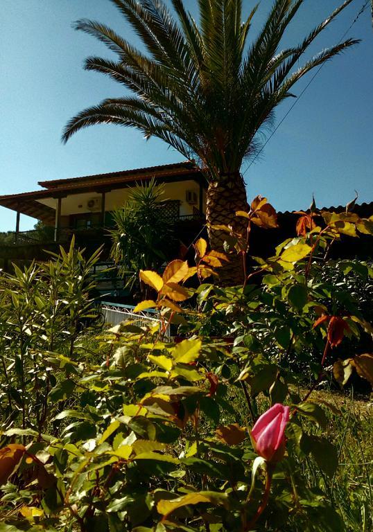 El Capitan Hotel Porto Koufo Bagian luar foto